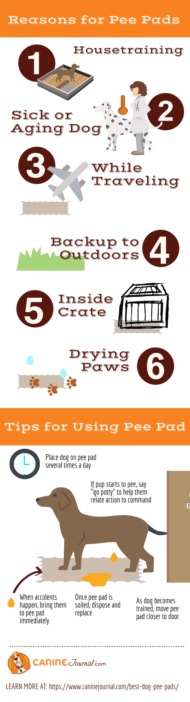 how to use potty pads for puppies