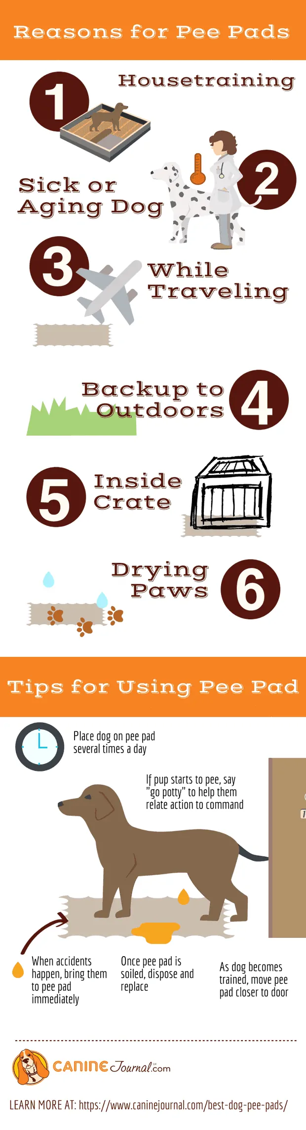 Infographic: Reasons for pee pads