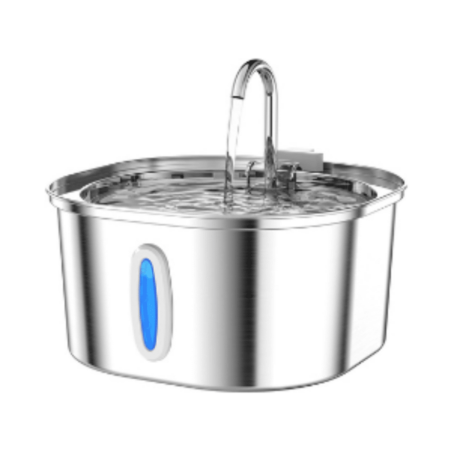 Best Dog Water Fountain Dispensers, Outdoor, Automatic & More