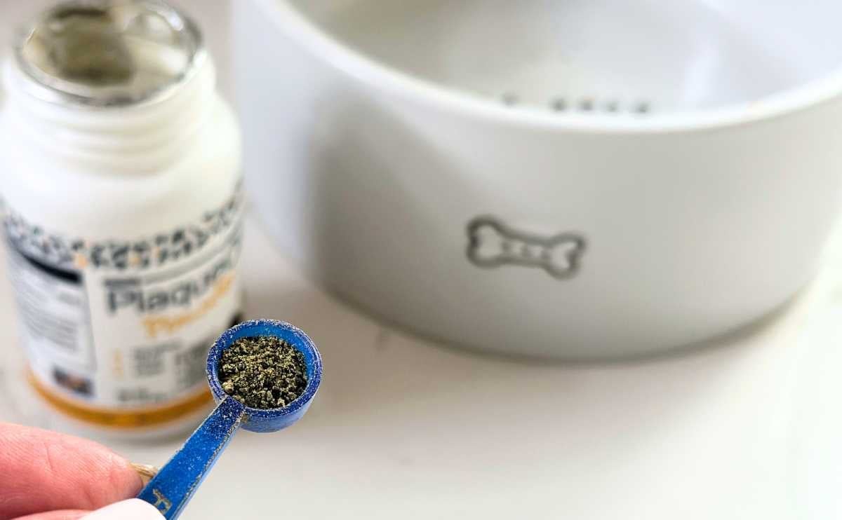 Person holding scoop of PlaqueOff powder in front of a dog bowl.