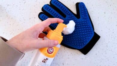 Person using dog dry shampoo foam on a grooming glove.