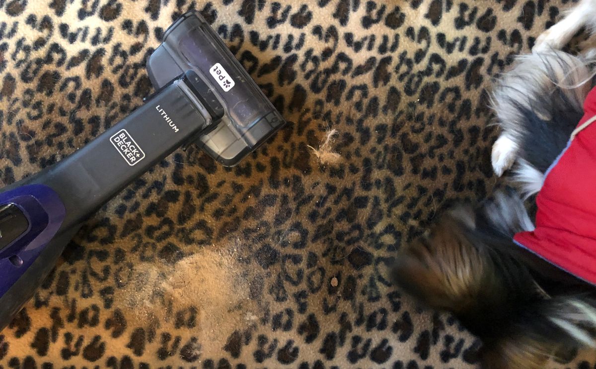 Dog next to a personal experience using black and decker pet hand vaccum overhead shot.