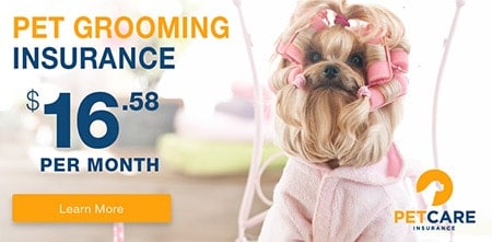 Pet Care Insurance PetCare Insurance For Grooming Ad