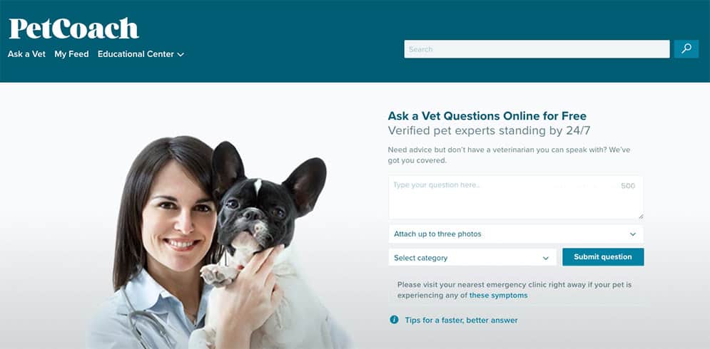 PetCoach screenshot of homepage