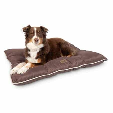 Pet Craft Supply Super Snoozer