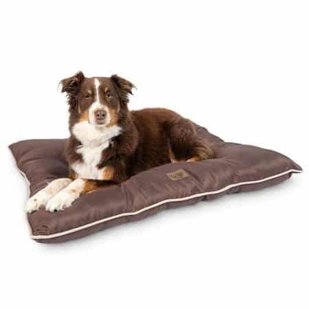 Pet Craft Supply Super Snoozer 