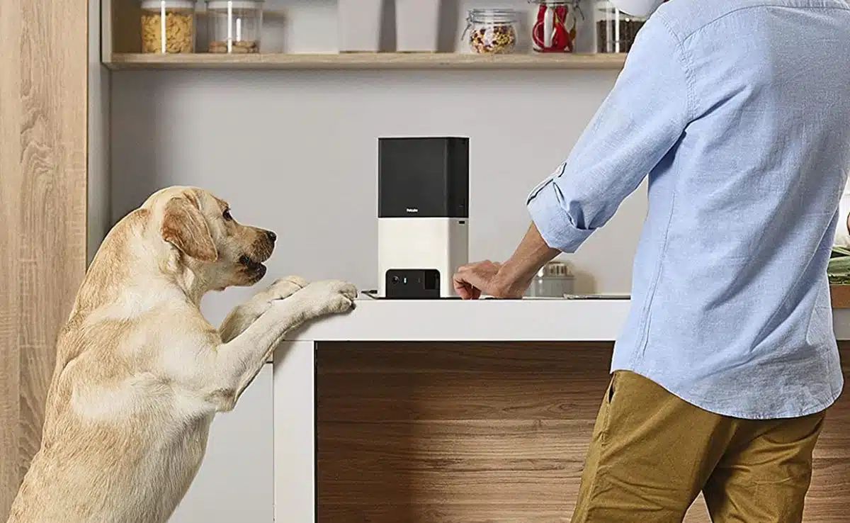 petcube sound not working