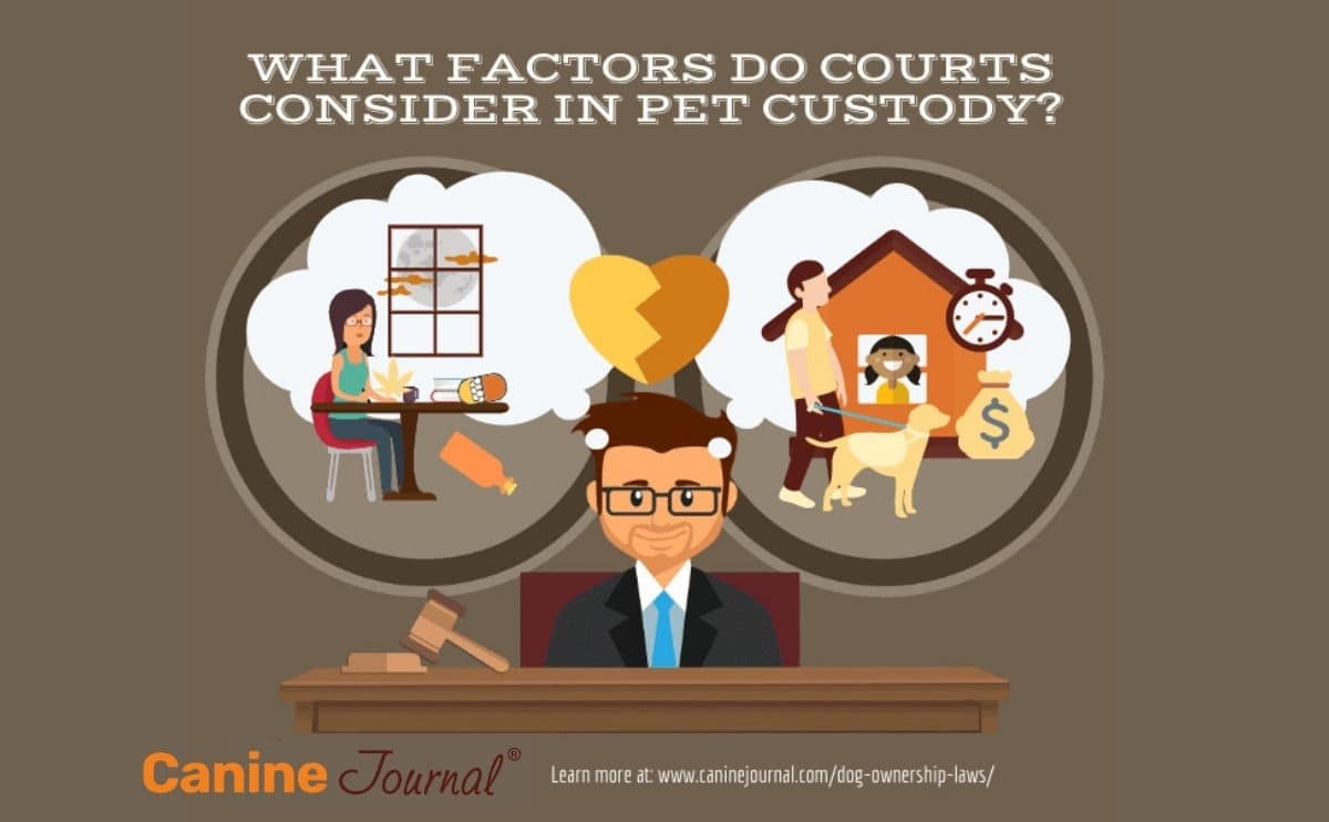 pet custody considerations graphics jpg