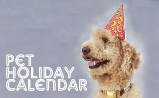 Dog wearing a party hat (Caption: Pet Holiday Calendar)