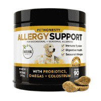 best anti itch product for dogs