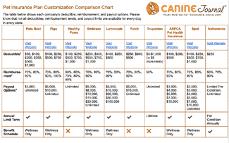 Best Pet Insurance Companies In 2023: Reviews & Comparison Tables Best Pet Insurance Companies In 2023: Reviews & Comparison Tables