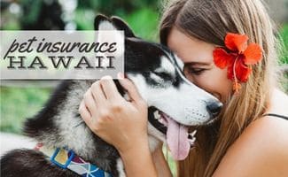 Young blonde woman in black dress with red hibiscus flower with husky dog at sunny weather (Caption: Pet Insurance Hawaii)