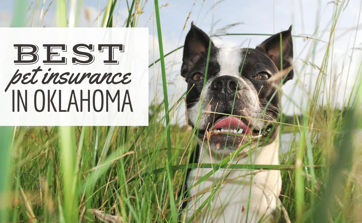 Pet Insurance Oklahoma