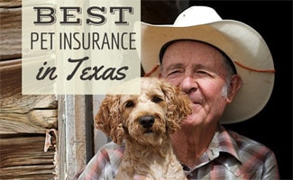 Top 6 dog insurance texas 2 Best Pet Insurance In Texas: Companies Reviewed In Houston, San Antonio, Dallas, Austin, Ft Worth And More