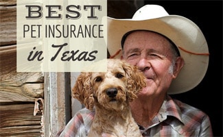 Best Pet Insurance In Texas: Companies Reviewed In Houston, San Antonio, Dallas, Austin, Ft Worth And More