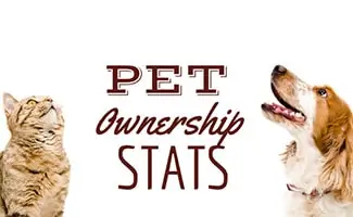 Cat and dog looking at the sky (Caption: Pet Ownership Stats)