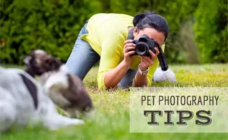 Woman taking photo of dog in grass