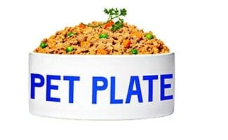 PetPlate bowl with food