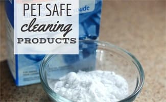 Bowl of baking soda (Caption: Pet Safe Cleaning Products)