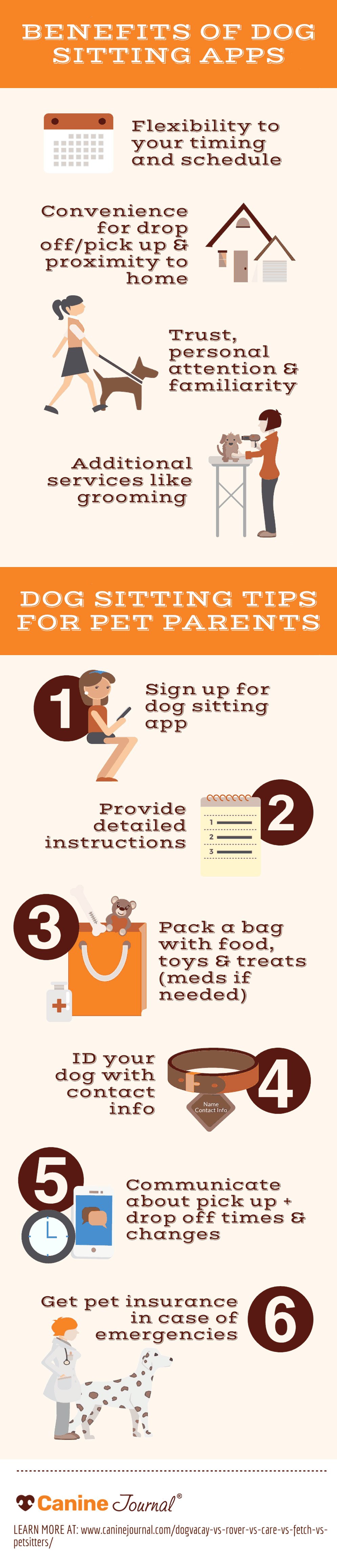 Pet sitting infographic