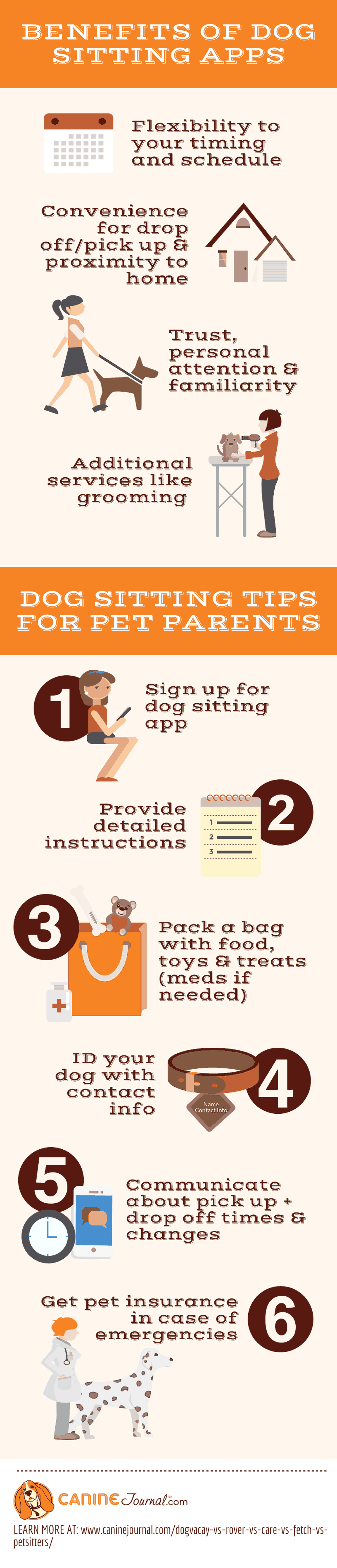 Pet sitting infographic