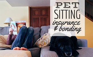 Dog sitter on couch with lab (caption: Pet Sitting Insurance & Bonding)