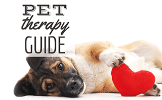 The dog holds in paws heart pillow (Caption: Pet therapy guide)