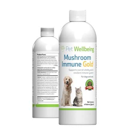 Pet Wellbeing - Reishi Mushroom Immune Gold