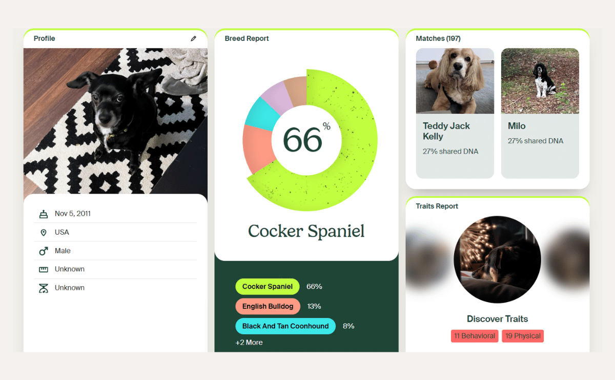 Know Your Pet DNA By Ancestry dashboard screenshot.