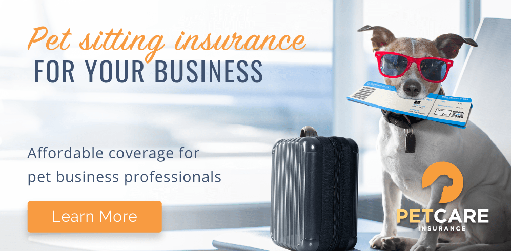 Dog in an airport with luggage and a boarding pass (Caption: PetCare Pet Sitting Insurance)