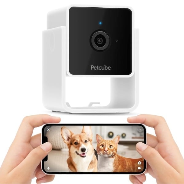 Petcube Cam