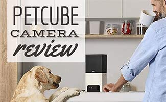 PetCam on kitchen counter with human (Caption: Petcube Camera Review)