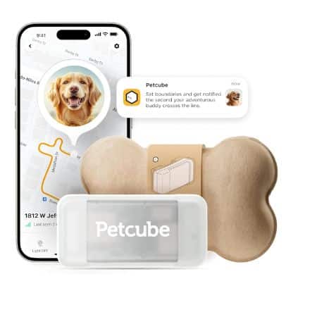 Petcube GPS Tracker