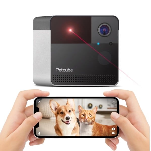 Petcube Play 2.