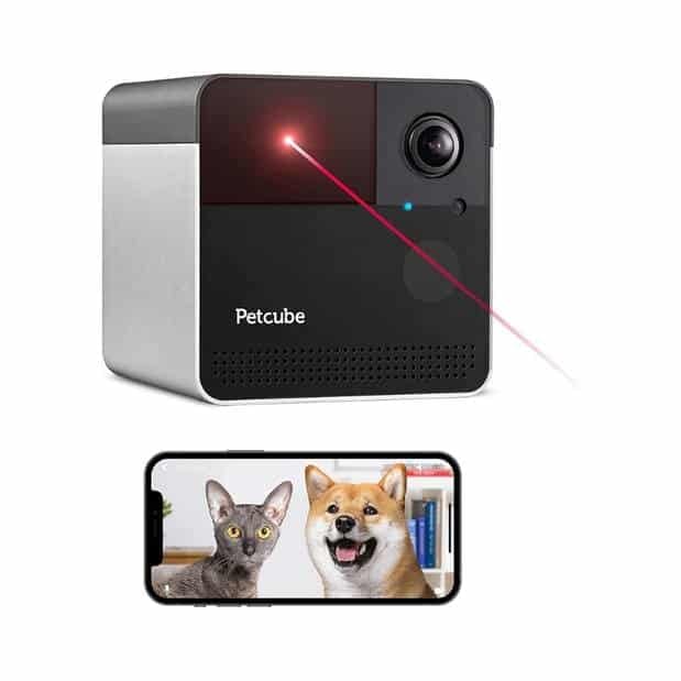 PetCube Camera