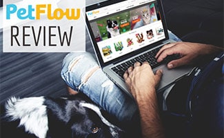 Man with dog shopping on PetFlow's website on laptop (Caption: PetFlow Review)