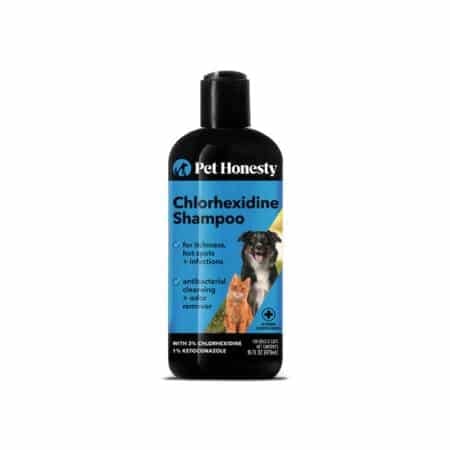 PetHonesty chlorhexidine shampoo