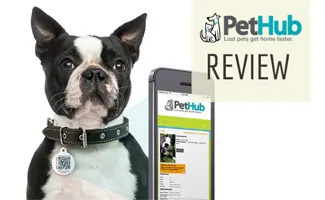 PetHub ID tag on dog with phone (Caption: PetHub Review)