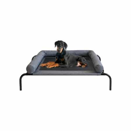 petime elevated cushion dog bed jpg