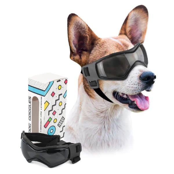 PETLASO dog goggles.