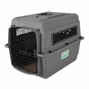 Petmate pet carrier