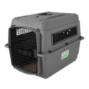 Petmate pet carrier