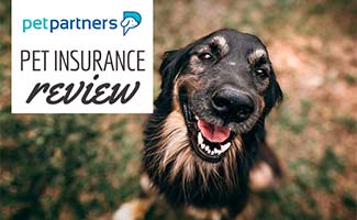 Dog smiling (caption: PetPartners Pet Insurance Reviews)