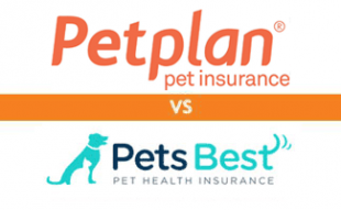 Pet Insurance Reviews 2020 Cost Coverage Comparisons