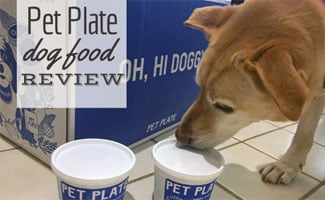 go puppy food review