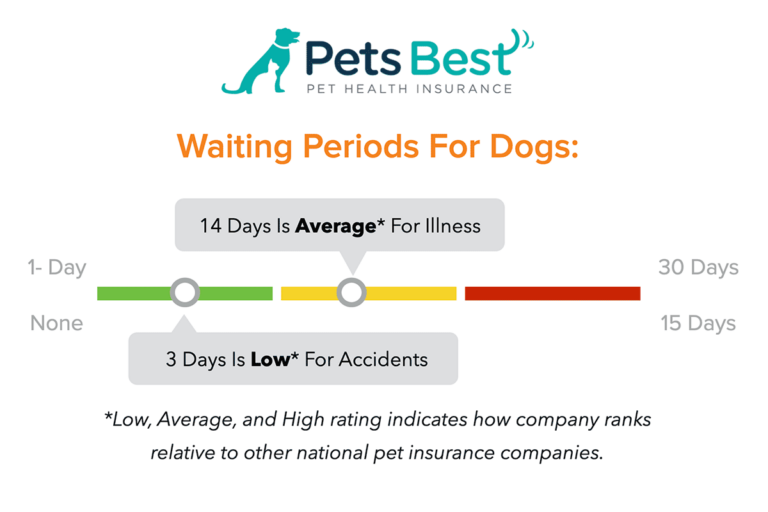 Pets Best Insurance Reviews Customer Service, Wellness Plan, vs