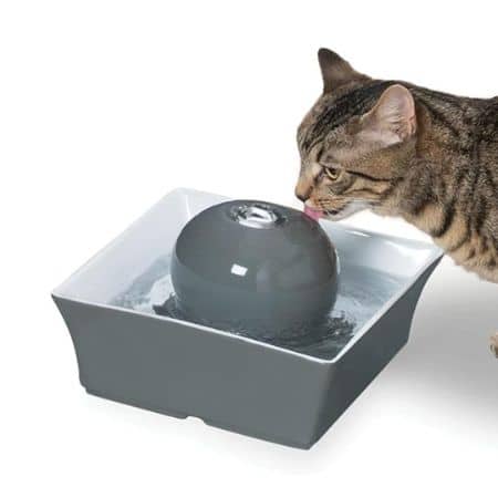 PetSafe Drinkwell Ceramic Pet Water Fountain