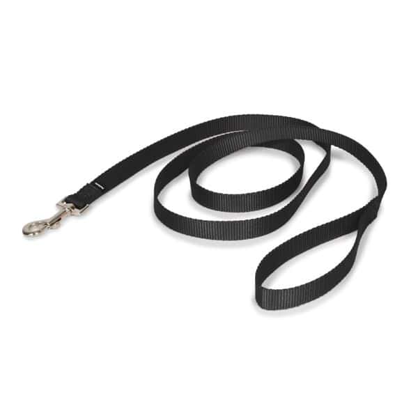 PetSafe Nylon Leash