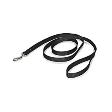 PetSafe nylon leash