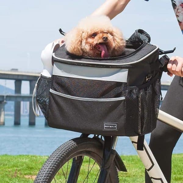 Dog in Petsfit carrier on a bike.